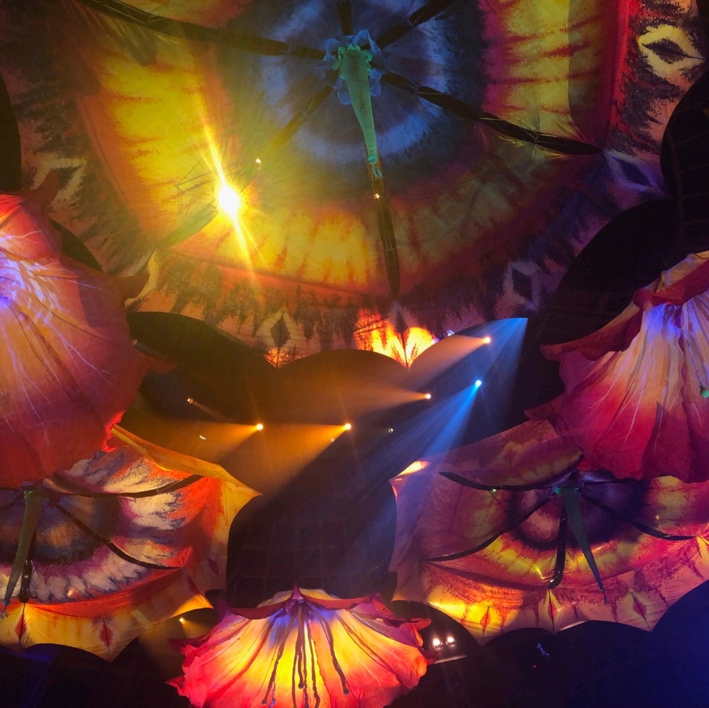 Meet your Posher, Grace